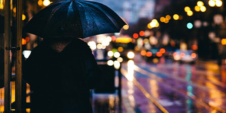 帕尔梅拉斯全队士气高昂，冲击世俱杯更高荣誉